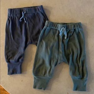 Kate Quinn Sport Pant